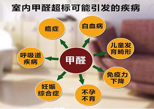 瀘州甲醛治理機構