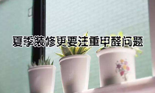 瀘州除甲醛公司