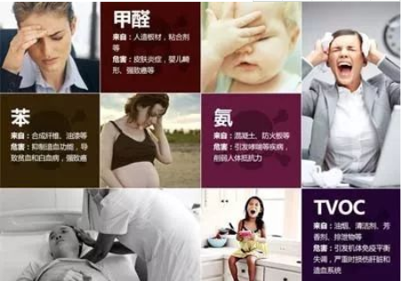 瀘州除甲醛公司