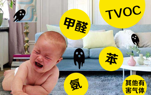 瀘州甲醛治理