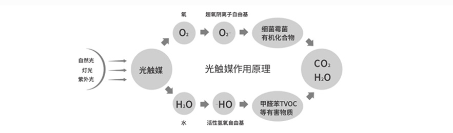 瀘州甲醛治理品牌